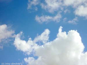 P1170938 Picasa signed lucky light