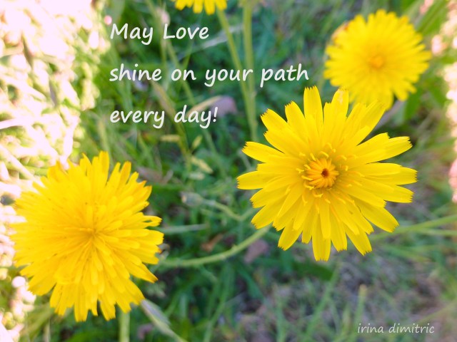 P1190804 Picasa text