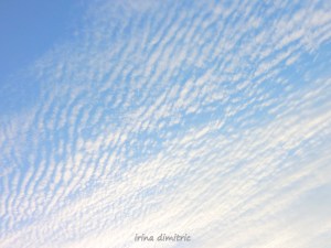 P1060786 for poem purple head