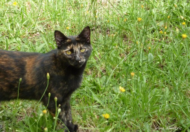 P1210211 crop signed