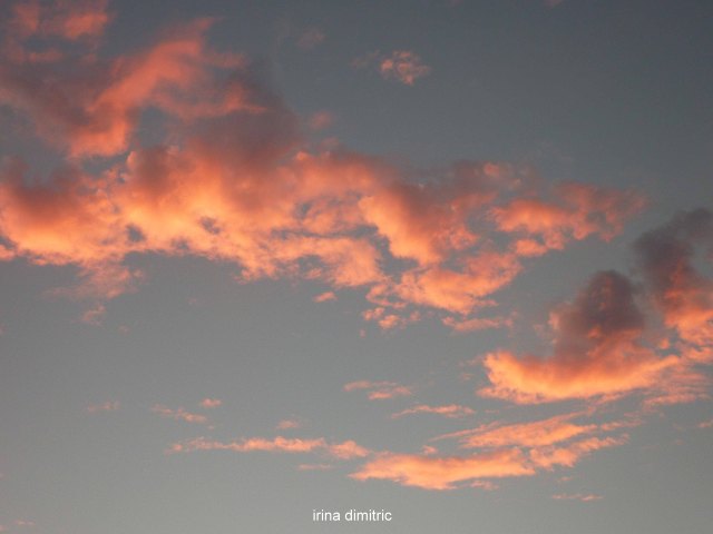 P1140469 Copy 1 sharp signed