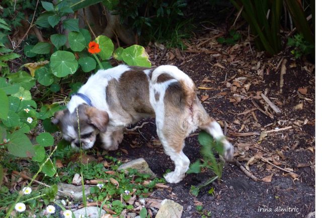 P1210369 mod sharp crop signed copy 1