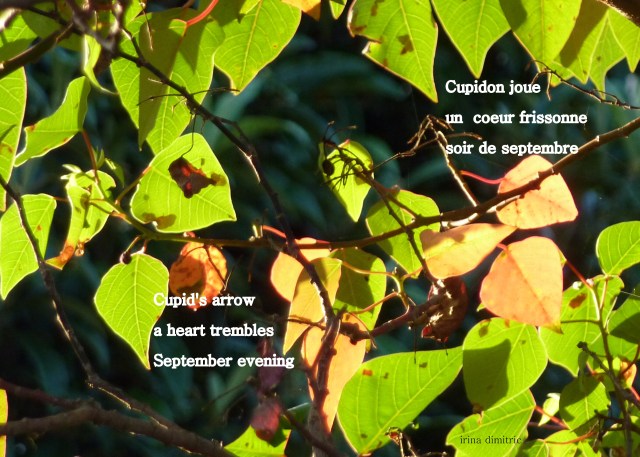 P1070527-001new text signed crop