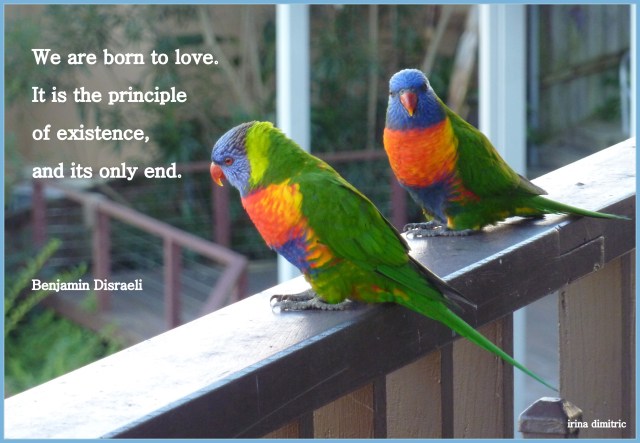 P1080835 text signed-001 border