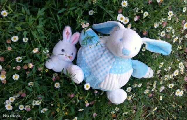 IMAG1387 signed crop