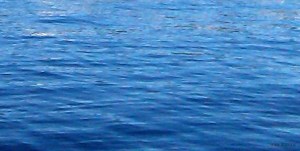 IMAG0852 signed crop autocontrast