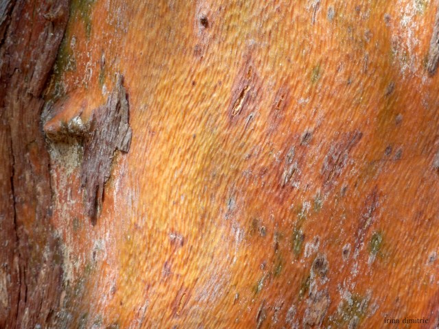 P1220944 auto contrast signed