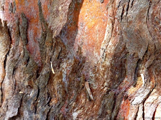 P1220948 mod sharp 36 signed