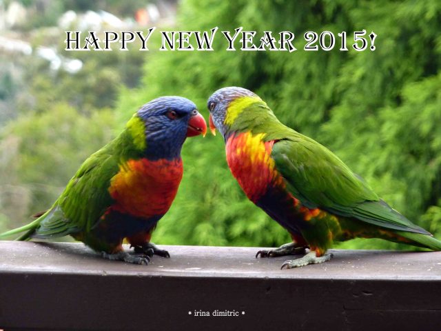 P1230340 mod sharp 20 text signed