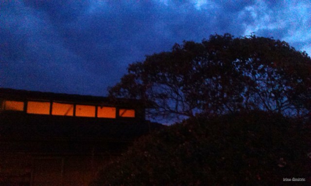 IMAG1669 auto contrast signed