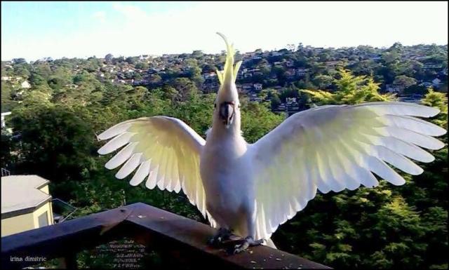 VIDEO0458_0000019041 signed light border