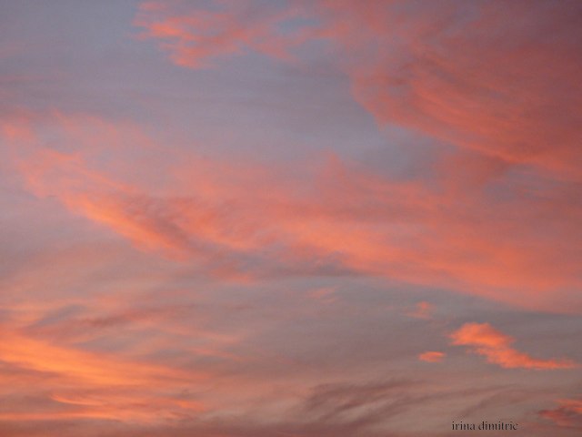 P1130477 sharp 40 signed