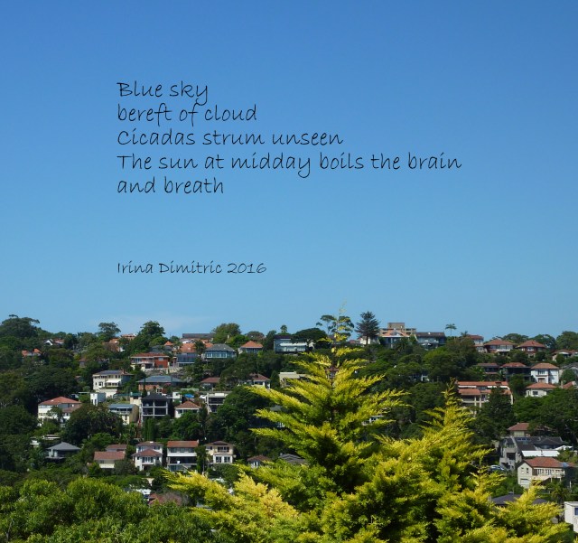 P1250671 Summer Heat - Cinquain