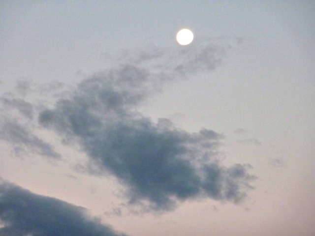 p1080729-mod-sharp-34