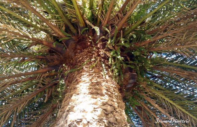 imag2933-1-lucky-signed